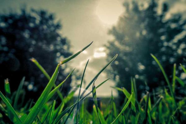 u2 1-6 �ı��ڳ˷�